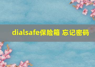 dialsafe保险箱 忘记密码